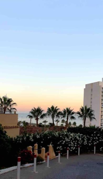 דירות בנאלמדנה Ocean Casino מראה חיצוני תמונה